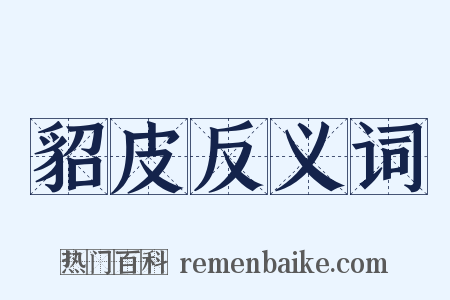 貂皮反义词是什么意思的图片